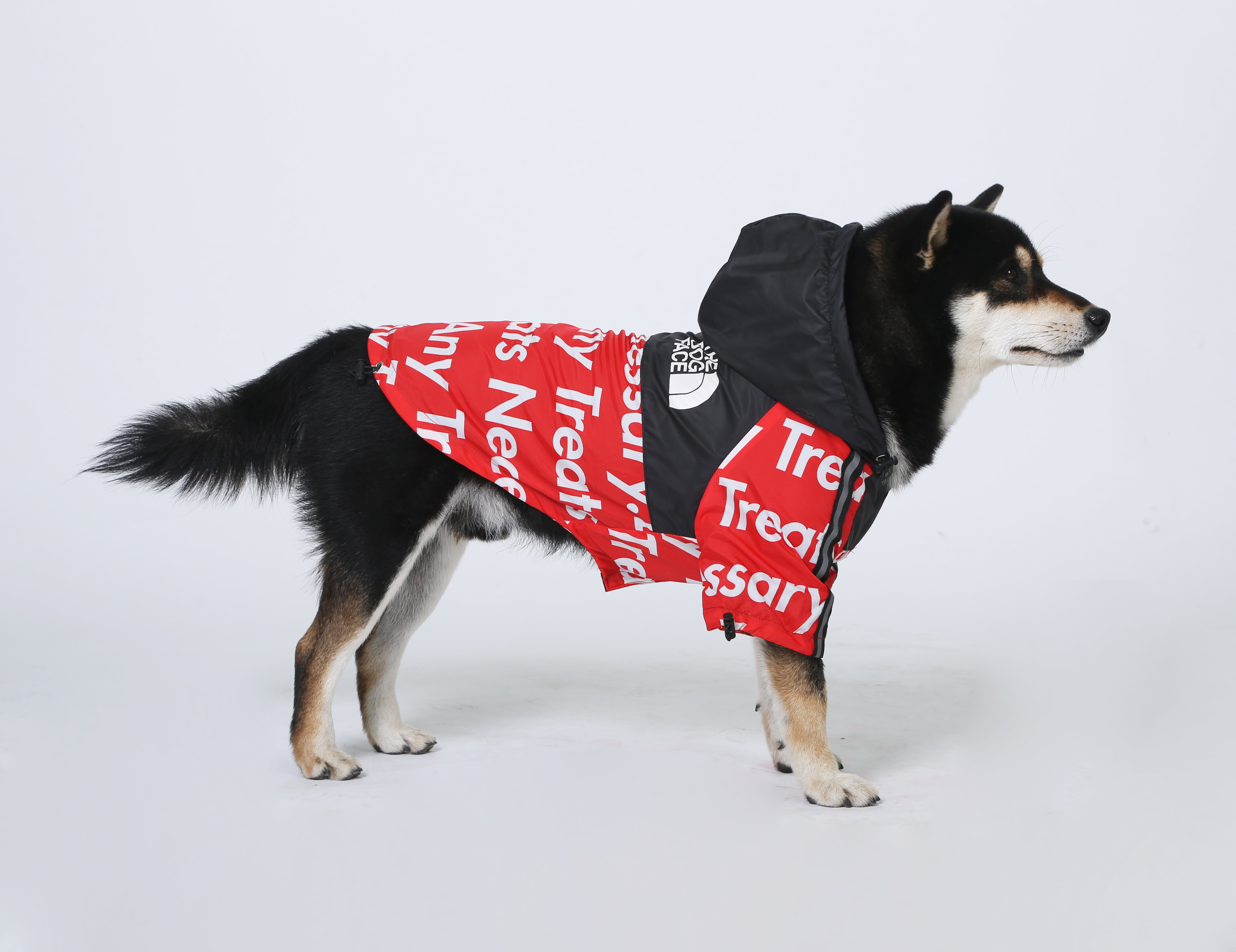 Veste pour chien The North Face | 2024