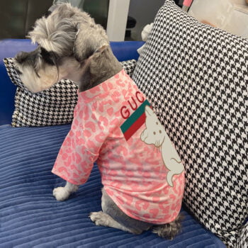 T-shirt pour chien Pawcci - 2025 - Vêtement et accessoires pour chiens - Doglovedesign