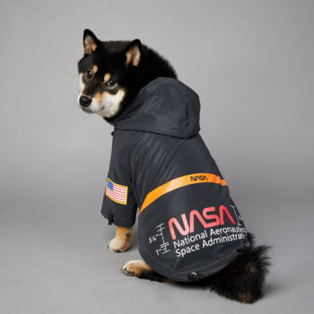 Veste pour chien Nasa | 2024