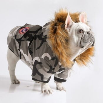 Veste pour chien Canada Goose | 2024