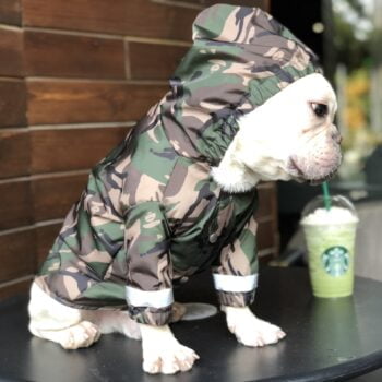 Veste pour chien Bape | 2025