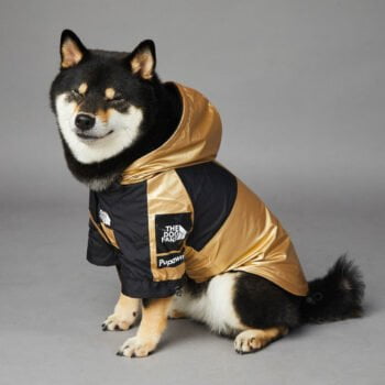 Sweat à capuche pour chien The North Face - 2025 - Doglovedesign : Vêtement et accessoires pour chiens Sweat à capuche pour chien The North Face - 2025 - Doglovedesign : Vêtement et accessoires pour chiens
