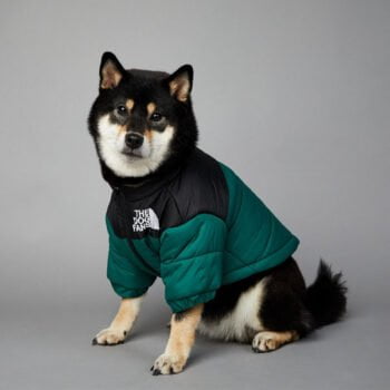 Veste pour chien The North Face - 2025 - Vêtement et accessoires pour chiens - Doglovedesign