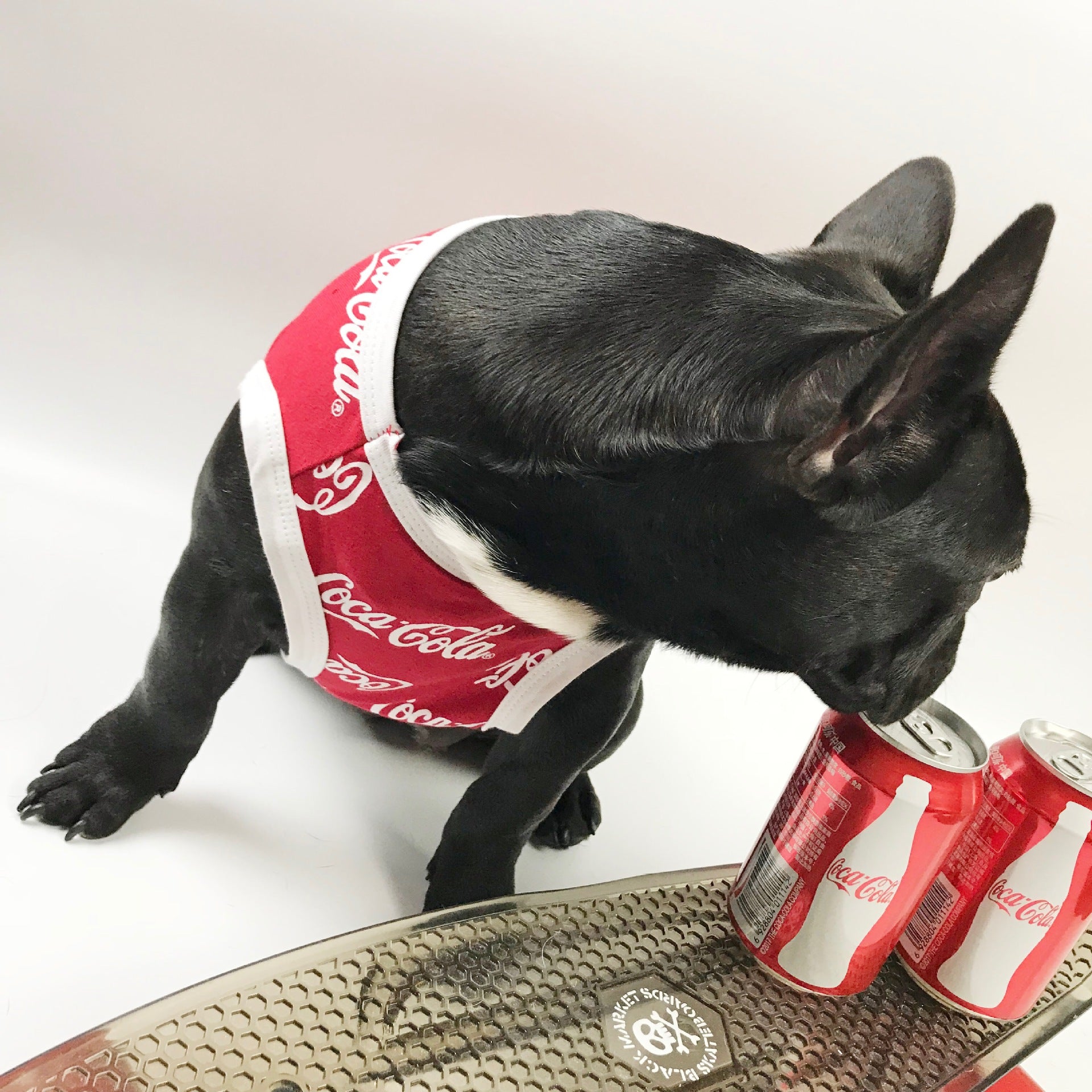 Gilet sans manches pour chien Coca Cola | 2024