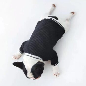 Pull pour chien Chanel | 2024