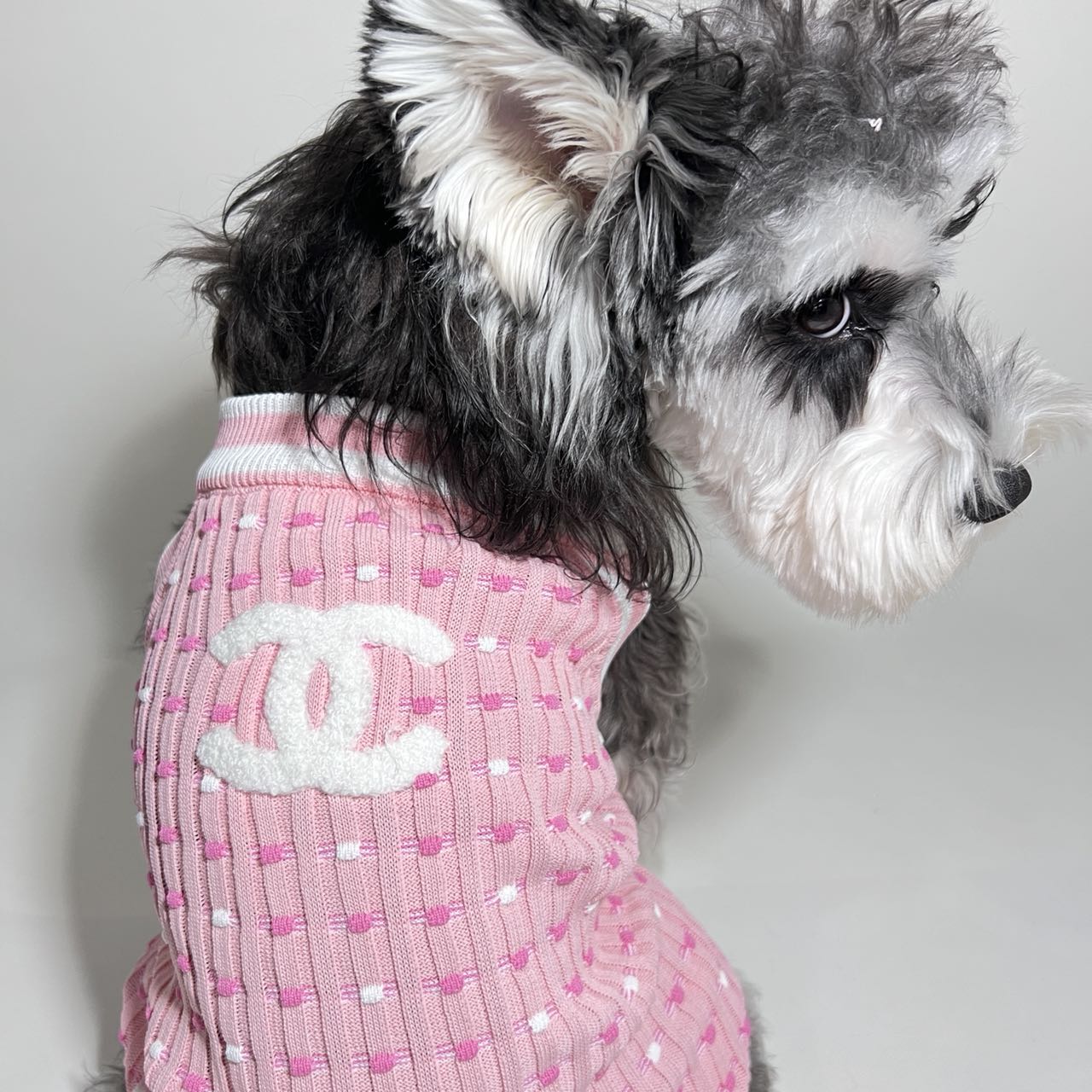 Pull pour chien Chanel | 2023