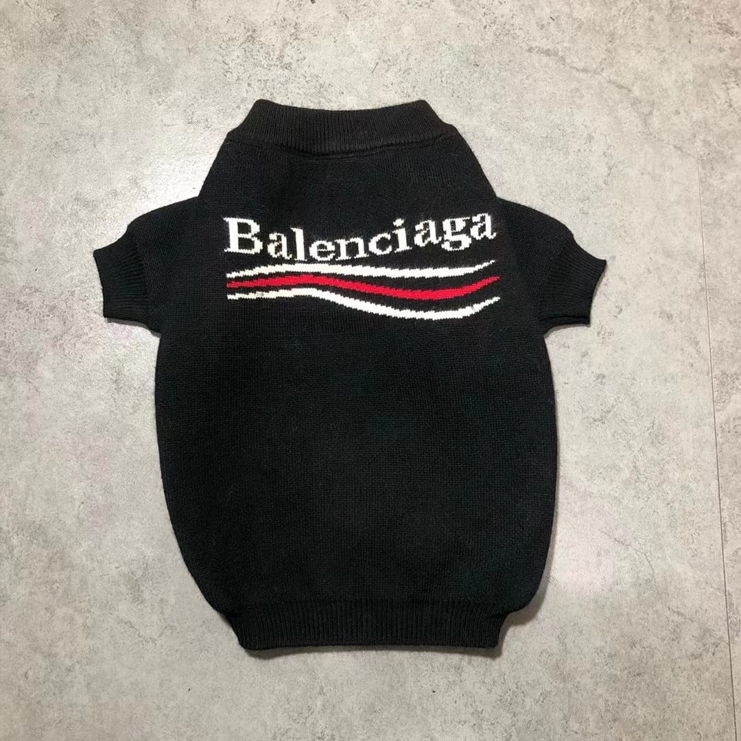 Pull pour chien Balenciaga | 2024