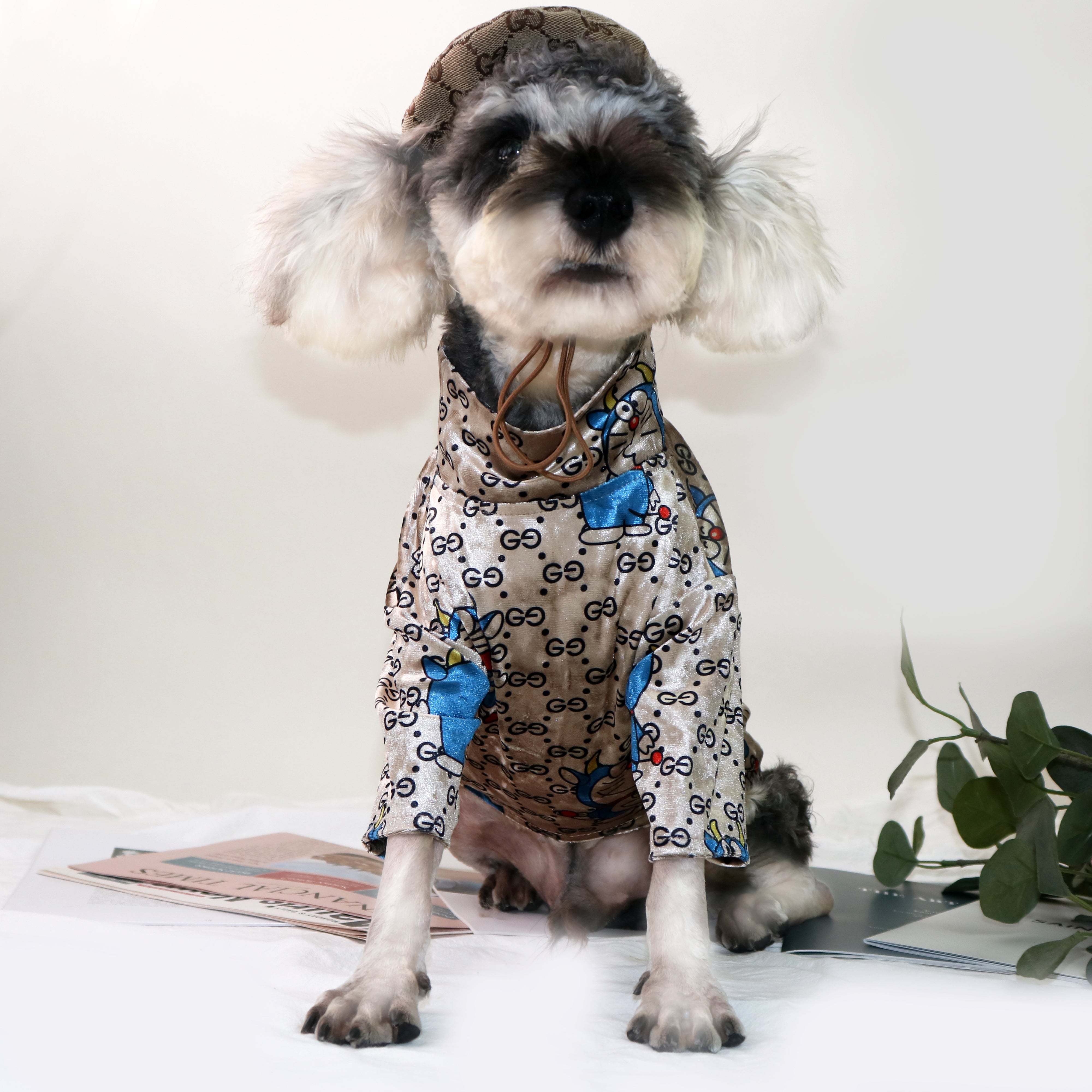 T-shirt pour chien Gucci | 2024