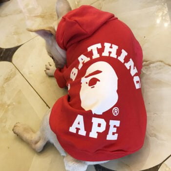 Sweat à capuche pour chien Bape | 2024