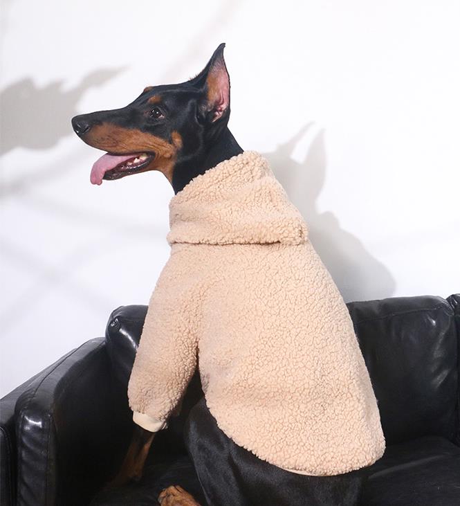 Vêtements Grands Chiens | 2025