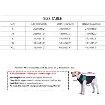 Sweat à capuche pour chien Fendi - 2025 - Vêtement et accessoires pour chiens - Doglovedesign