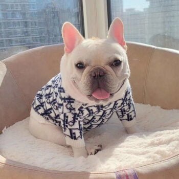Pull pour chien Dior - 2025 - Vêtement et accessoires pour chiens - Doglovedesign