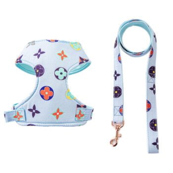 Collier et Harnais Pawtton pour Chiens - 2025 - Vêtement et accessoires pour chiens - Doglovedesign