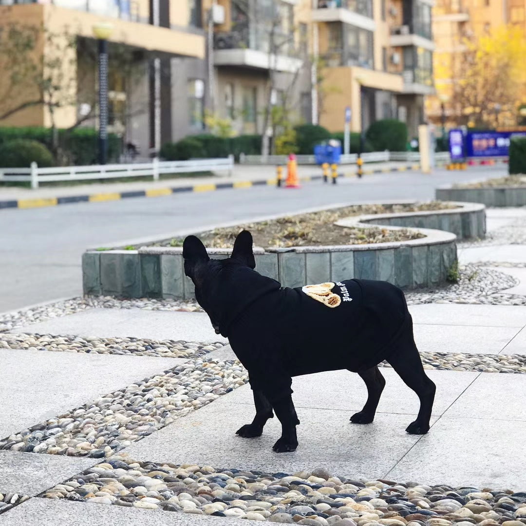 Sweat à capuche pour chien Palm Angels | 2024