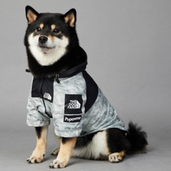 Sweat à capuche pour chien The North Face - 2025 - Doglovedesign : Vêtement et accessoires pour chiens Sweat à capuche pour chien The North Face - 2025 - Doglovedesign : Vêtement et accessoires pour chiens