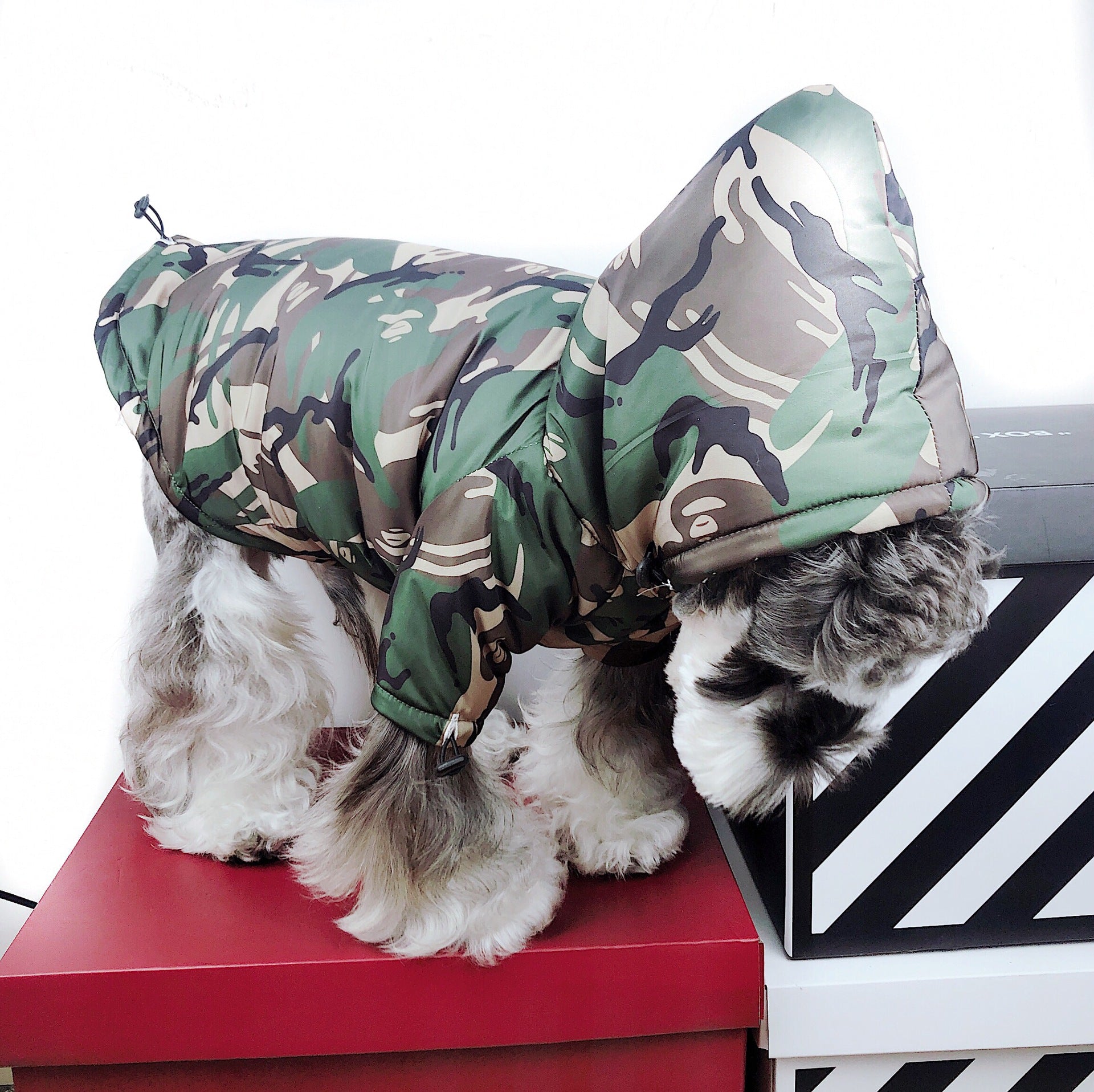 Manteau Camouflage Bape Luxe pour Petit Chien | 2025