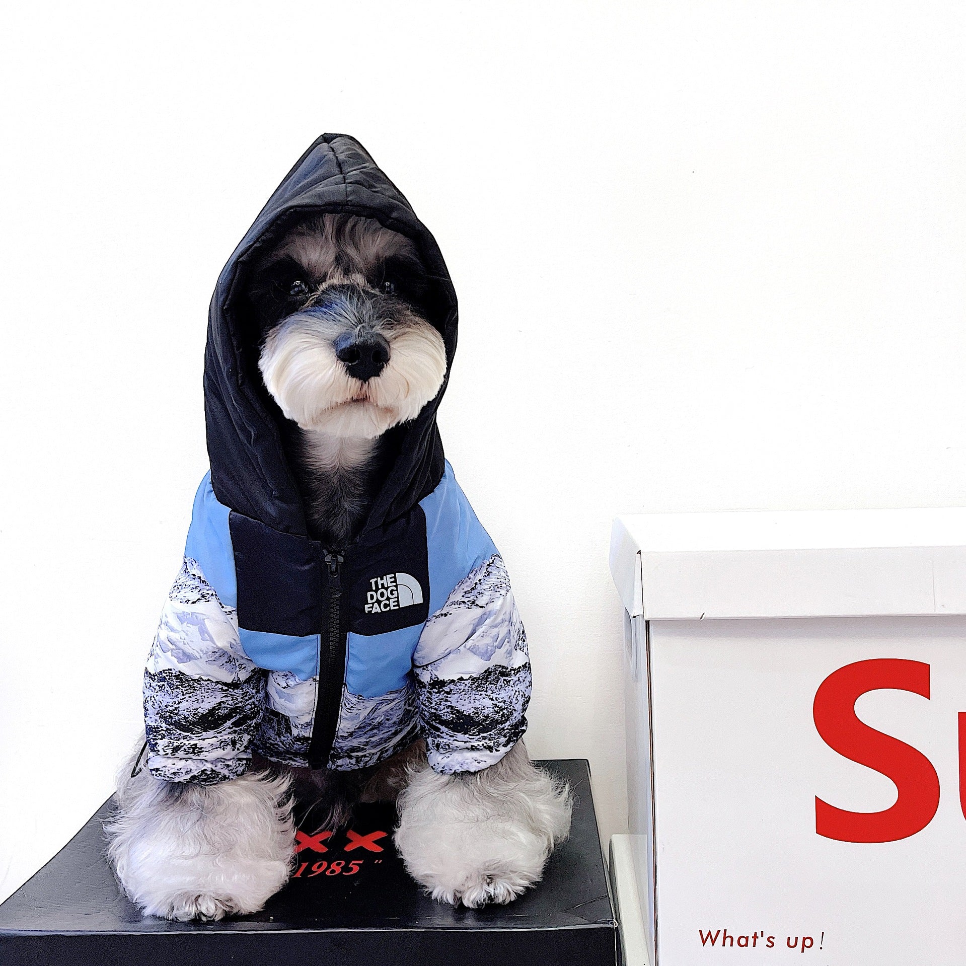 Veste pour chien The North Face - 2025 - Vêtement et accessoires pour chiens - Doglovedesign