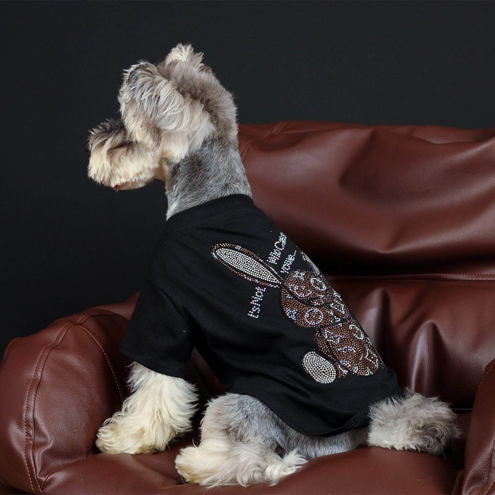 T-shirt pour chien Louis Pawtton | 2024