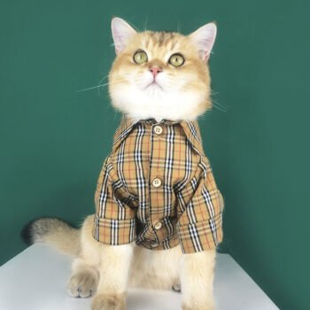 Chemise pour chien Burberry | 2024