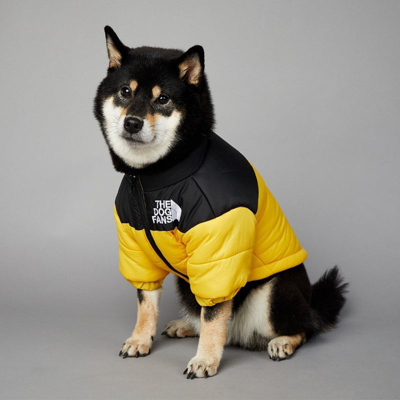 Veste pour chien The North Face | 2024