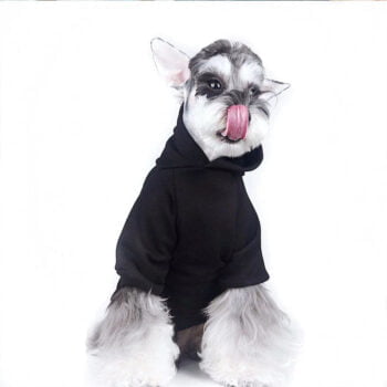 Sweat à capuche pour chien Palm Angels - 2025 - Doglovedesign : Vêtement et accessoires pour chiens Sweat à capuche pour chien Palm Angels - 2025 - Doglovedesign : Vêtement et accessoires pour chiens