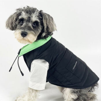 Veste pour chien Canada Goose | 2024