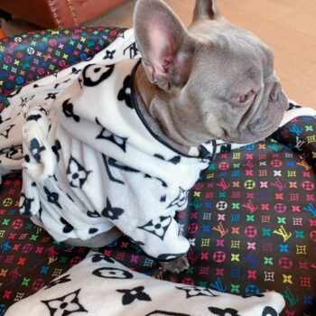 Sweat à capuche pour chien Louis Pawtton - 2025 - Vêtement et accessoires pour chiens - Doglovedesign