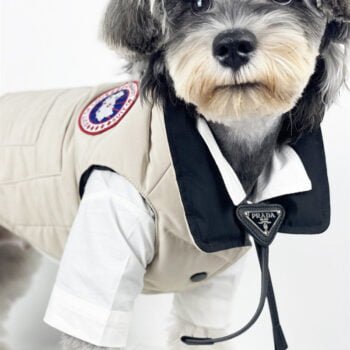 Veste pour chien Canada Goose | 2024