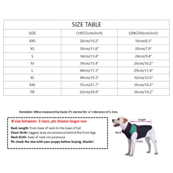 Sweat-shirt pour chien Louis Pawtton - 2025 - Vêtement et accessoires pour chiens - Doglovedesign