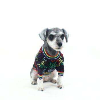 Pull pour chien Pawcci - 2025 - Vêtement et accessoires pour chiens - Doglovedesign