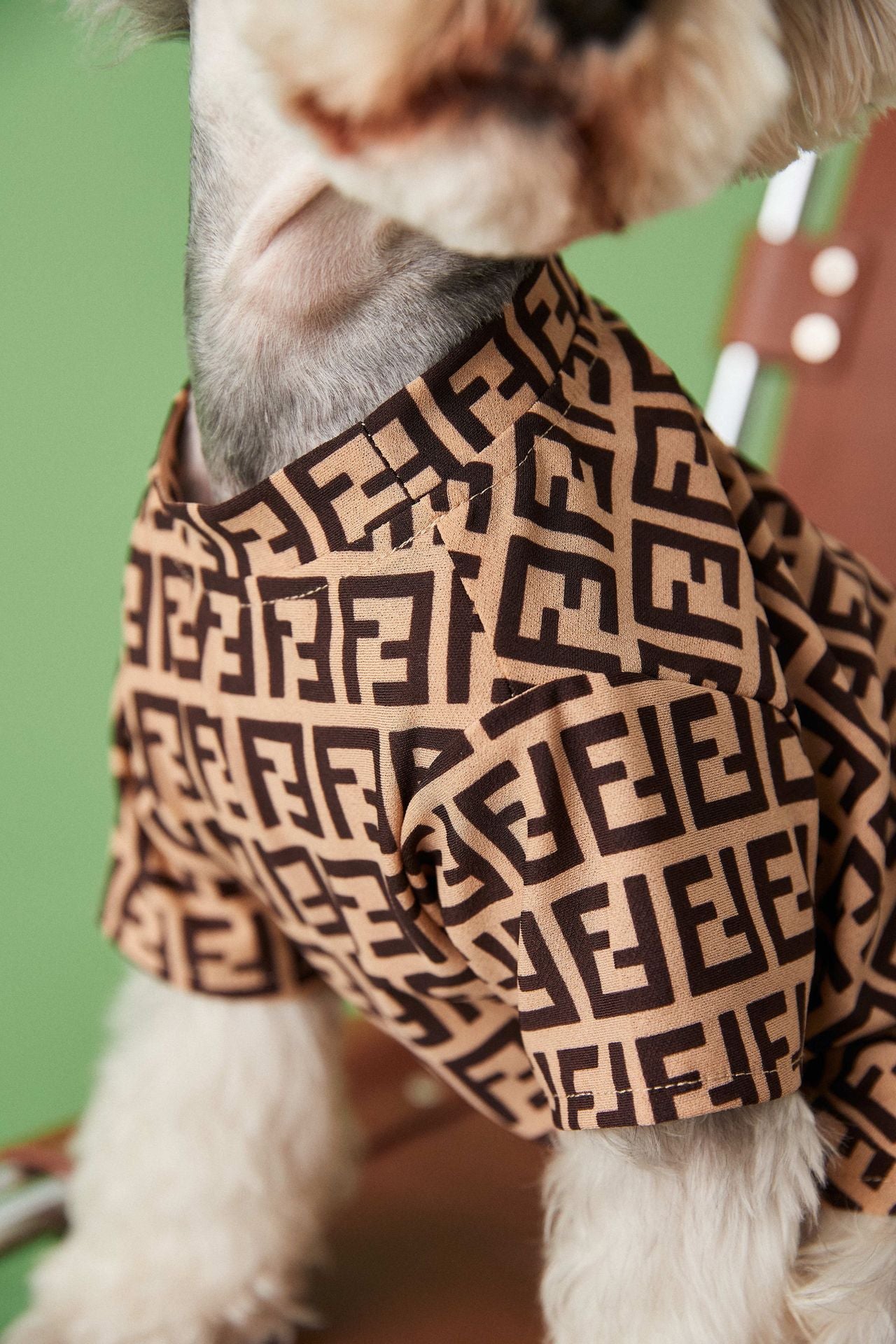 T-shirt pour chien Fendi | 2024