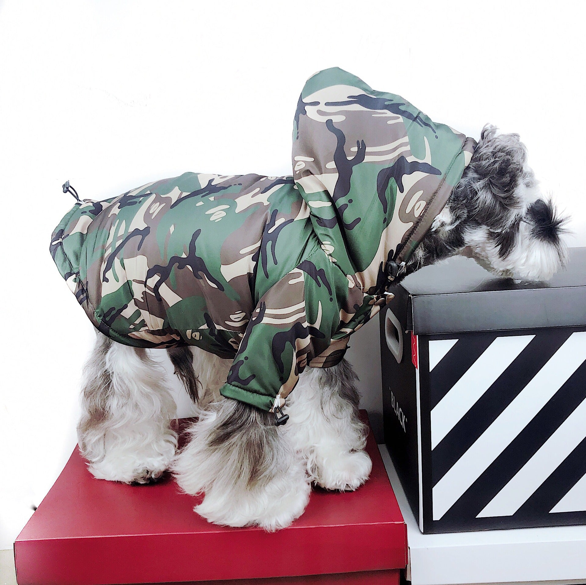 Manteau Camouflage Bape Luxe pour Petit Chien | 2025