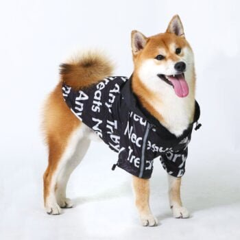 Veste pour chien The North Face - 2025 - Vêtement et accessoires pour chiens - Doglovedesign