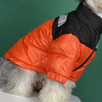 Veste pour chien The North Face | 2024