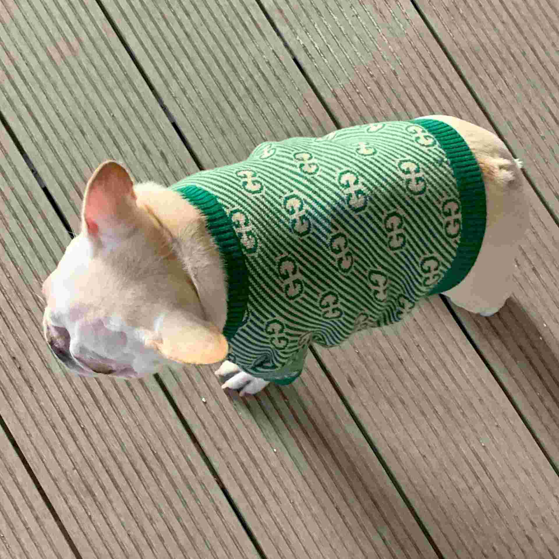 Pull pour chien Gucci | 2024