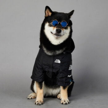 Sweat à capuche pour chien The North Face - 2025 - Vêtement et accessoires pour chiens - Doglovedesign