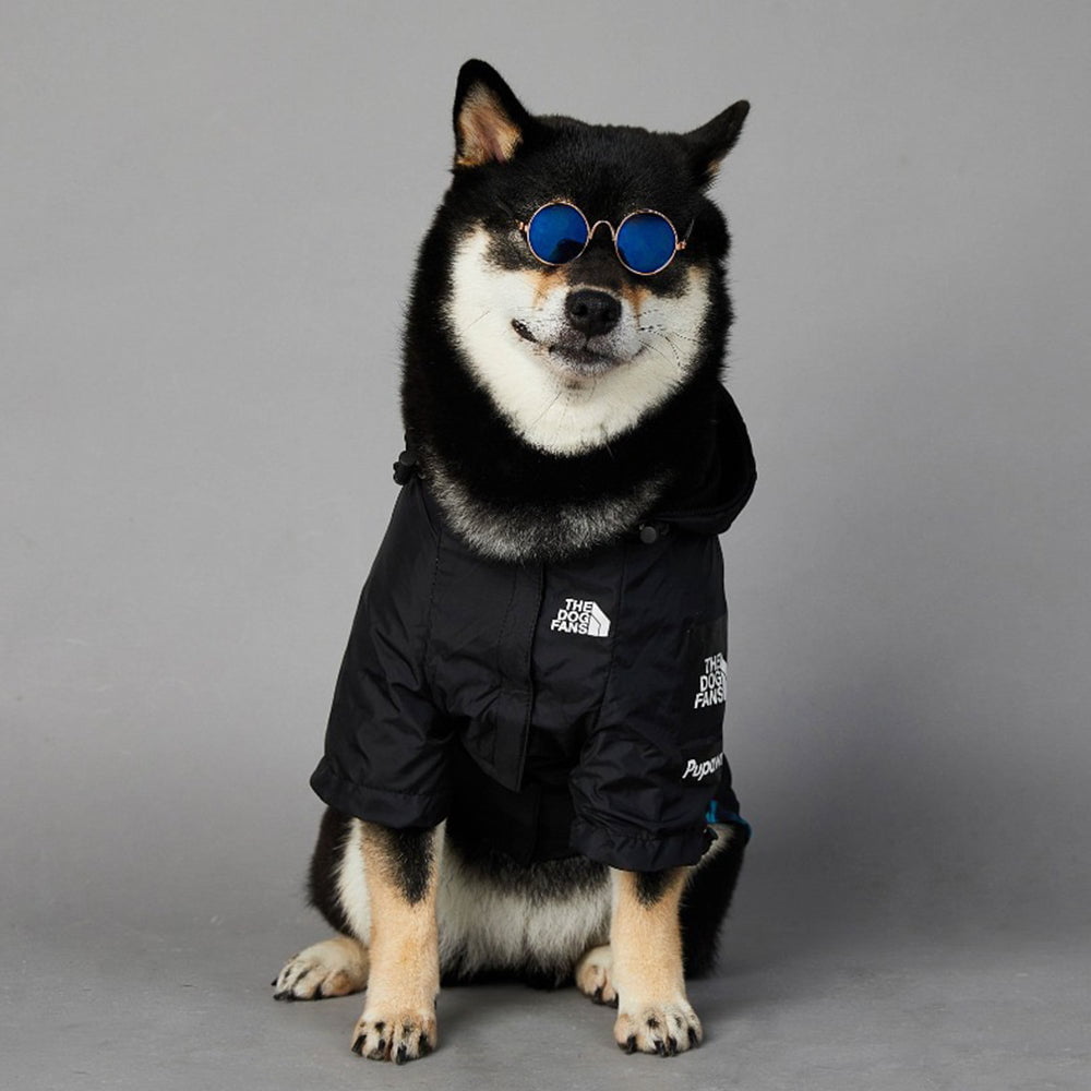 Sweat à capuche pour chien The North Face | 2024