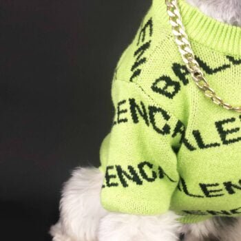 Pull pour chien Balenciaga | 2024