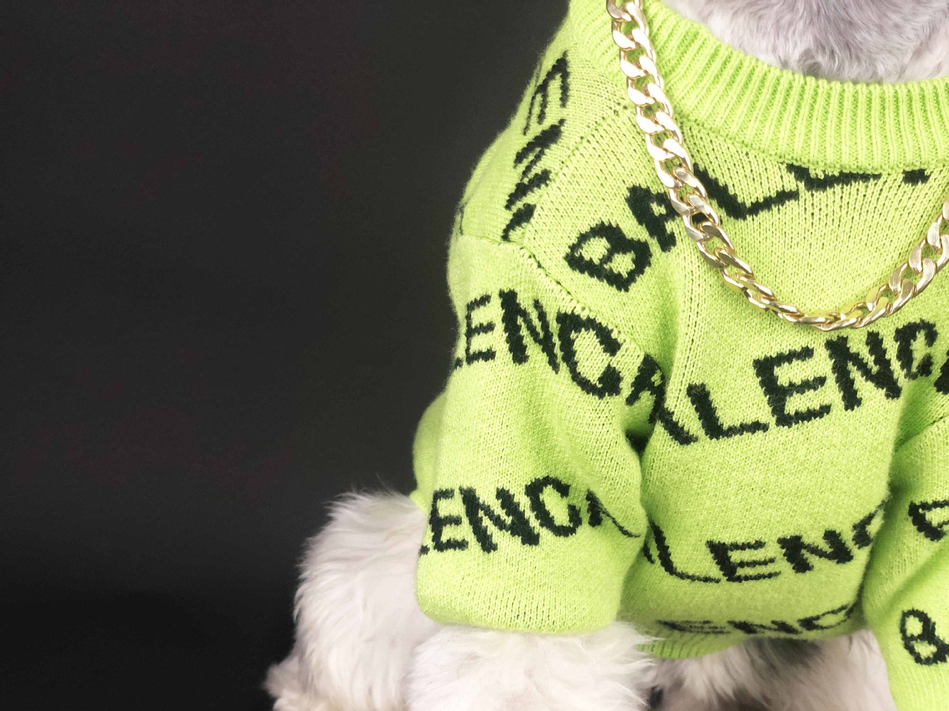 Pull pour chien Balenciaga | 2024