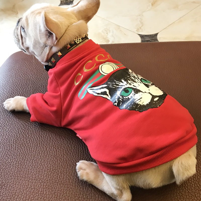 Sweat-shirt pour chien Gucci | 2024