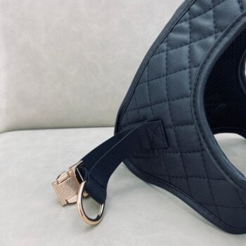 Accessoires de Luxe pour Chiens : Laisse et Harnais Chanel - 2025 - Vêtement et accessoires pour chiens - Doglovedesign