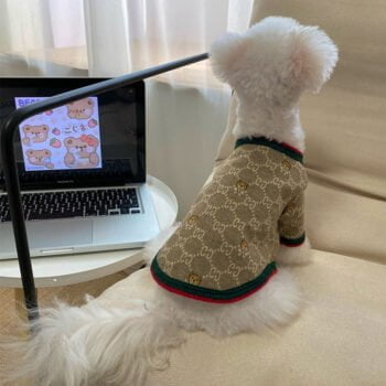 Pull pour chien Gucci | 2024