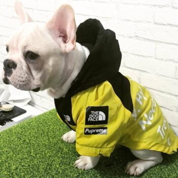 Veste pour chien The North Face - 2025 - Vêtement et accessoires pour chiens - Doglovedesign