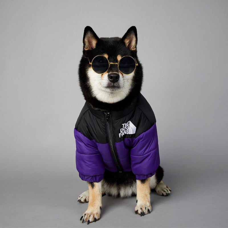 Veste pour chien The North Face | 2024