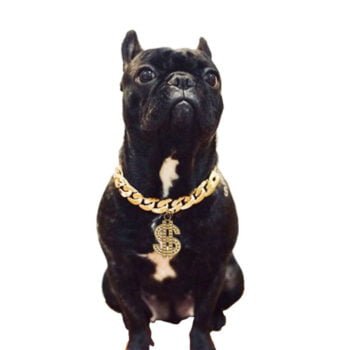 Chaine pour chiens - 2025 - Vêtement et accessoires pour chiens - Doglovedesign