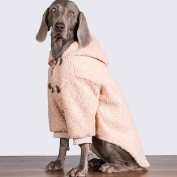 Vêtements Grands Chiens - 2025 - Vêtement et accessoires pour chiens - Doglovedesign