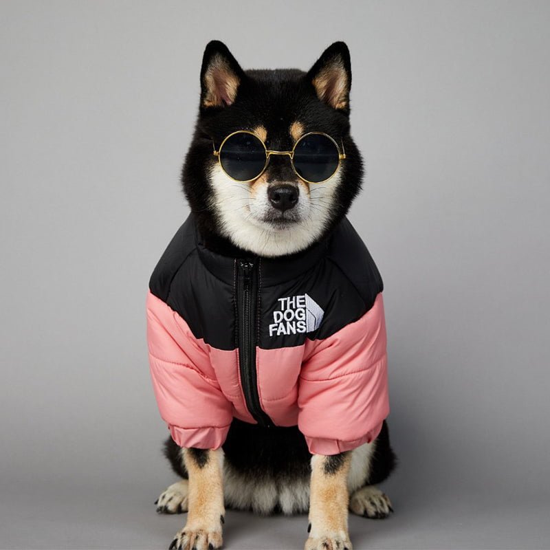 Veste pour chien The North Face - 2025 - Vêtement et accessoires pour chiens - Doglovedesign