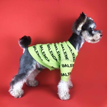 Pull pour chien Balenciaga | 2024