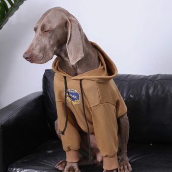 Vêtements Grands Chiens | 2025