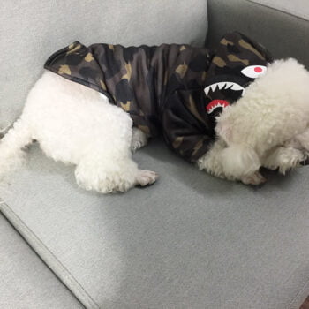 Sweat à capuche pour chien Bape | 2025